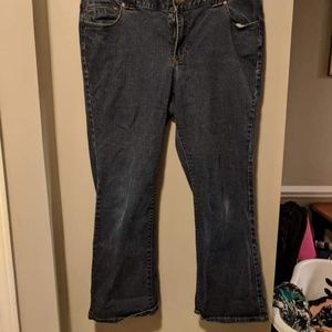 Lane Bryant jeans